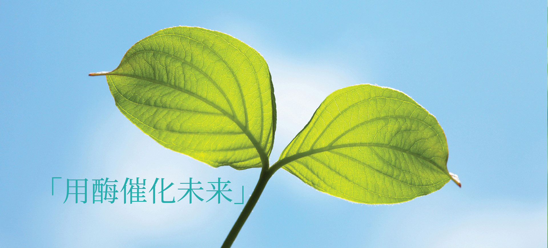 用酶催化未來！